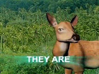 Panchatantra 3d Animation Stories