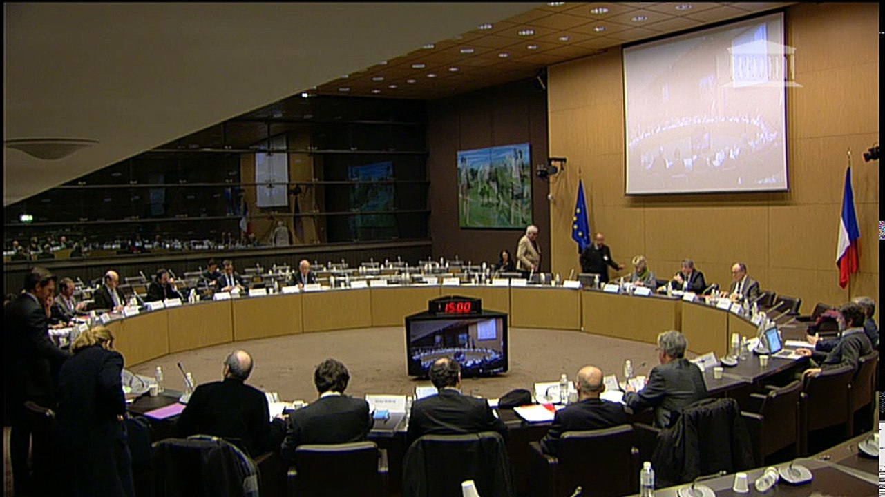 OPECST : Quelle politique pour les terres rares et les matières premières stratégiques et critiques ? (suite) - Lundi 29 février 2016