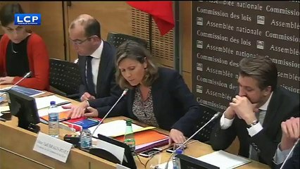 La colère de la présidente de la Commission des lois après la remarque sexiste d'un député devant les caméras