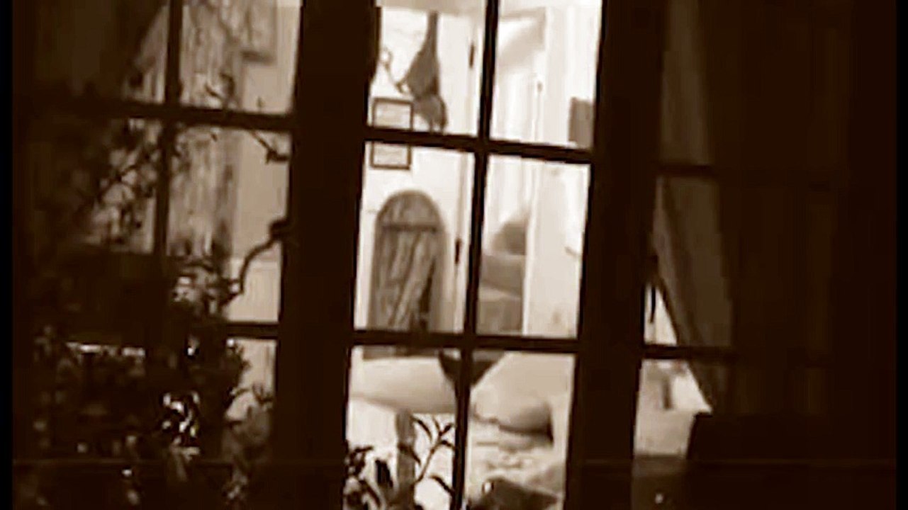 Saad Lamjarred - The Sleepwalker | سعد لمجرد -  مغامرات سعد و حمار الليل