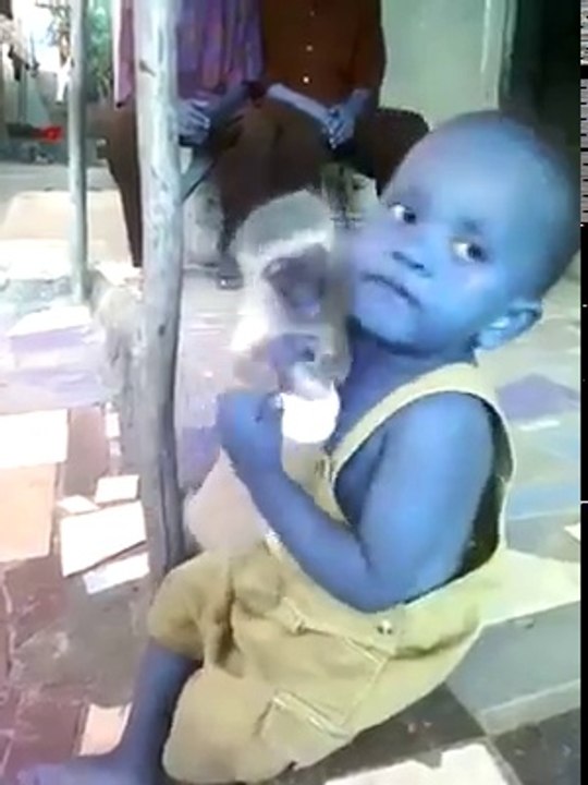 Ce singe empeche ce bébé de boire son biberon... Affamé l'animal