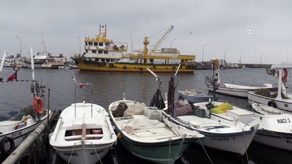 Balıkçılar yüzde 80'lik düşüşün araştırılmasını istiyor - SİNOP