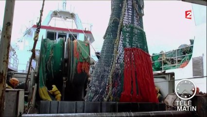 Conso - Pêche électrique