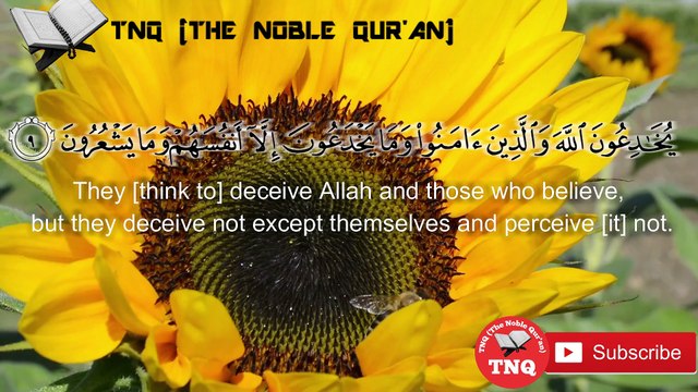 surah albaqarah, surah baqara, سورة البقارة, sourate baqarah, сура бакара, Sure Baqarah, سورہ بقرہ, սուրա բաքարա, ਸੂਰਾਹ ਬਕਾਰਾਹ, సూరా బాఖారా, சூரா பாகாரா, aayah 9,10 with english translation - The noble quran