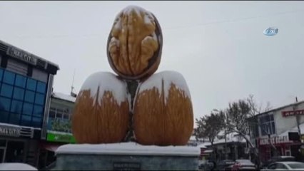 Şiddetli Tipi Kırşehir'de 76 Köy Bağlantısını Kesti