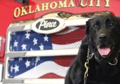 Oklahoma Firefighters Save Former Rescue Dog Trapped Under Decking