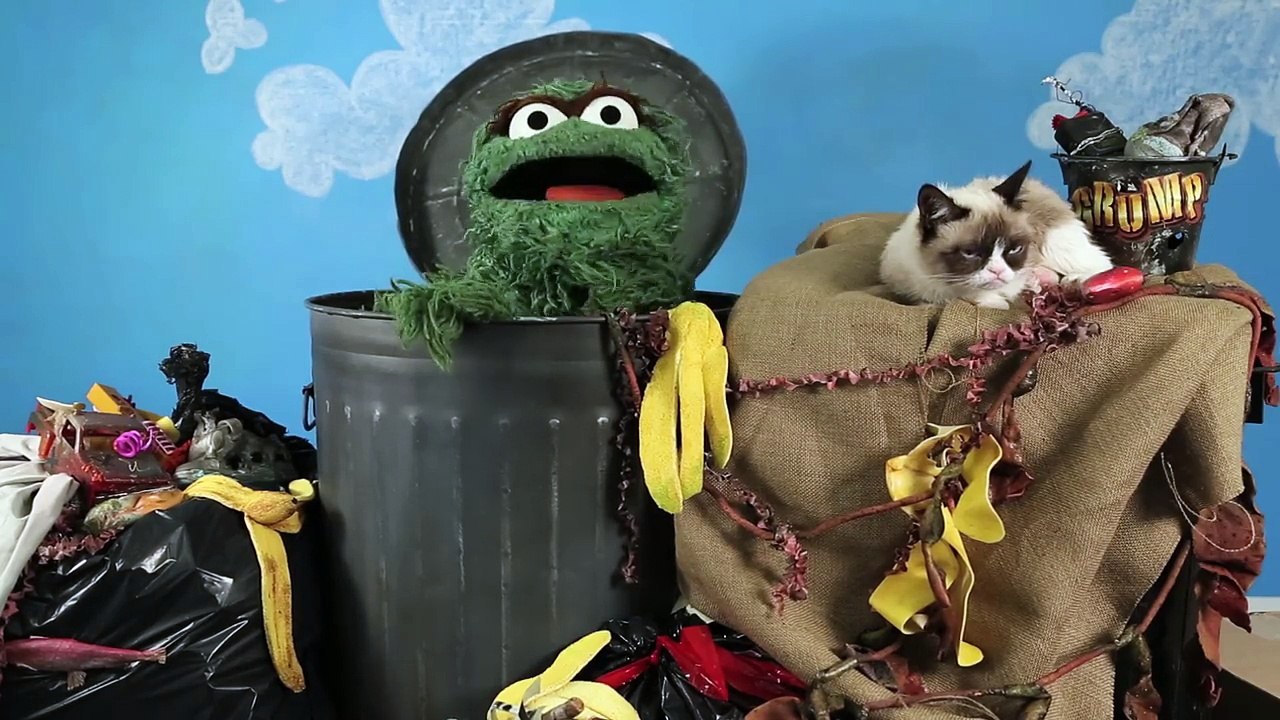 Oscar the Grouch vs. Grumpy Cat | Mashable