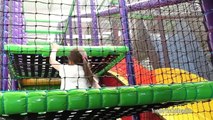 Indoor Playground Fun for Children Super Slides Baby Dolls Kinder Surprise Eggs | TheChildhoodLife