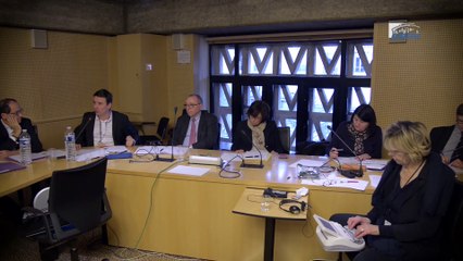 Questions à Laurent GRANDGUILLAUME (ancien député)  - emploi des séniors  - cese