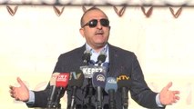 Çavuşoğlu: 