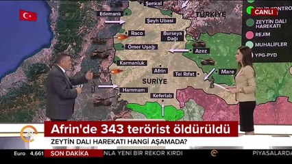 Zeytin Dalı Harekatı