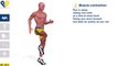 Best Cardio Exercises: High Knees Running In Place