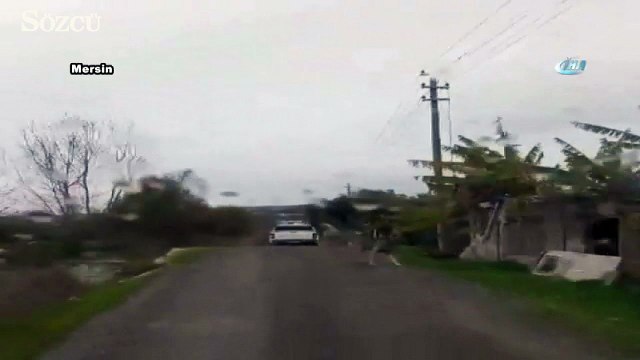 Hayvana eziyet bitmek bilmiyor: Yürek sızlatan görüntü