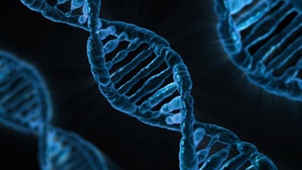 Clonage : une première mondiale