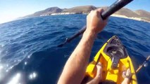 Un kayakiste se fait attaquer par un requin très agressif qui ne veut plus le lâcher