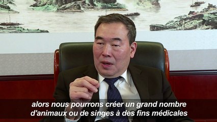 Premier clonage de primates avec la technique de Dolly