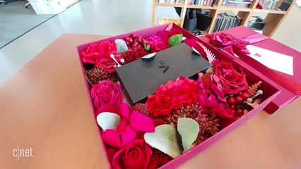 Raspberry Rose V30 Unboxing