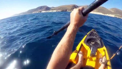 Un kayakiste se fait attaquer par un requin très agressif qui ne veut plus le lâcher
