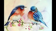 Watercolor Blue Birds Painting Demonstration