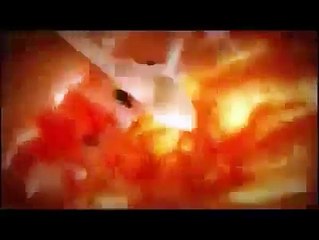 Como se forma el ser humano