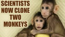 Monkey Cloning Successful - Step Towards Human Cloning? | OneIndia News