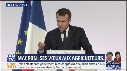 Macron sur le plan loups : "Il faut protéger les troupeaux par tous les moyens"