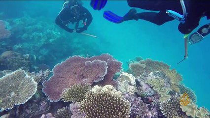 أول إمرأة عربية تونسية تحصل على منصب أستاذة متخصصة في علوم البيئة والمحيطات باليابان (فيديو)