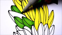 Learn Art l How To Draw and Color Fruits l Banana Coloring Pages Videos For Children l Learn Colors