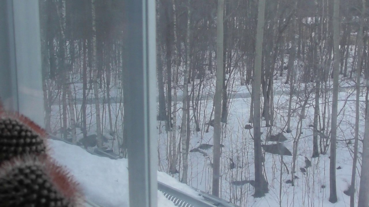 Jan 25 2018 DL10