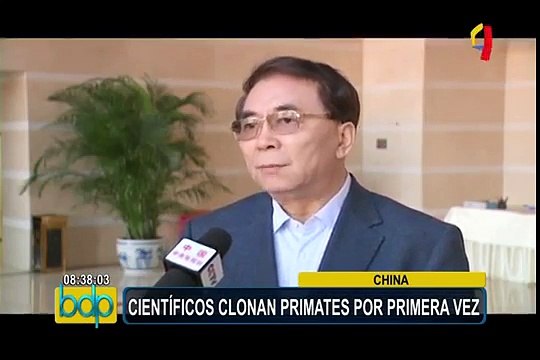 China: científicos clonan primates con la técnica de la oveja “Dolly”