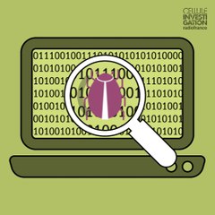 Comment l’informatique a mis l’armée à terre