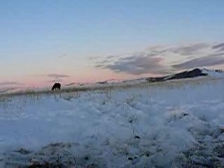 Petit dejeuner au lit...