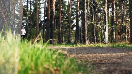 A louer - Appartement - LA VALETTE DU VAR (83160) - 3 pièces - 65m²