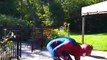 Spiderman CUTS Frozen Elsa Hair! w  Fairy Godmother Captain America Joker Fun Superhero in real | Superheroes | Spiderman | Superman | Frozen Elsa | Joker