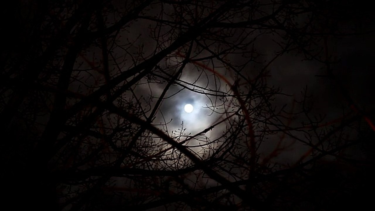 Luna