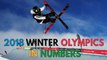 2018 Winter Olympics in numbers