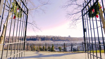 D.P. Da Prophet - What Heaven's Like