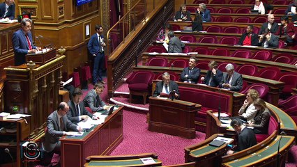 Alain Milon - Projet de loi de ratification des ordonnances réformant le Code du Travail