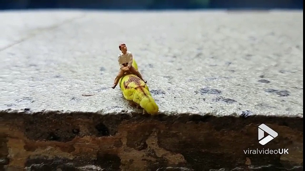 Cowboy sur une chenille.. quand tu joues avec tes mini figurines LOL