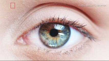 This Contact Lens Can Tell You Your Blood Sugar Level