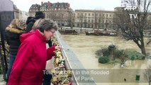 Tourists take in the flooded sights of Paris