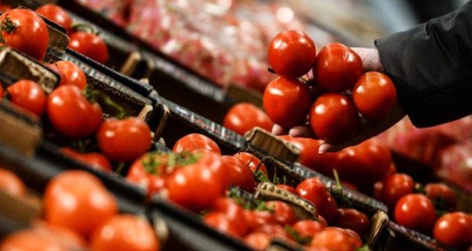 Rusya Türkiye'den Domates İthalatını Arttırabilir