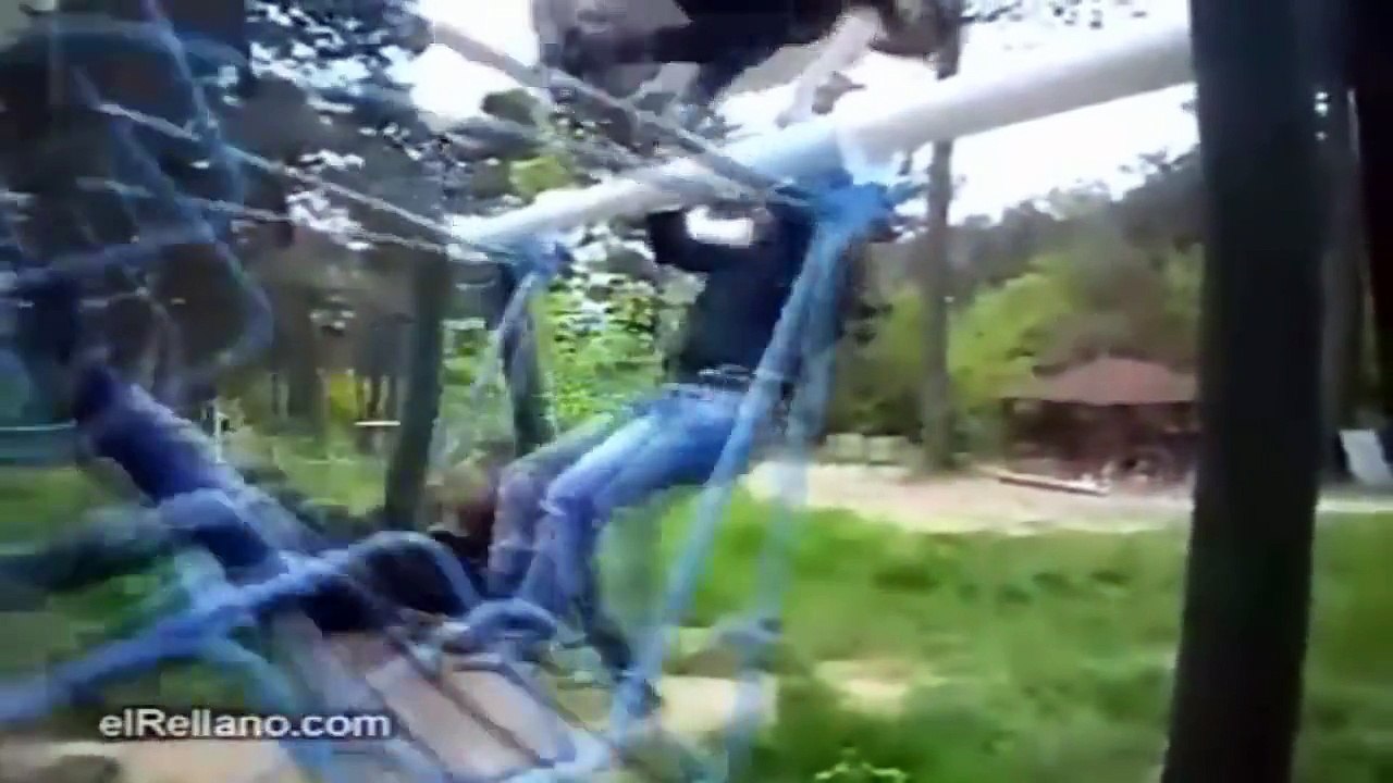 LAS CAIDAS MAS DOLOROSAS DEL  2016