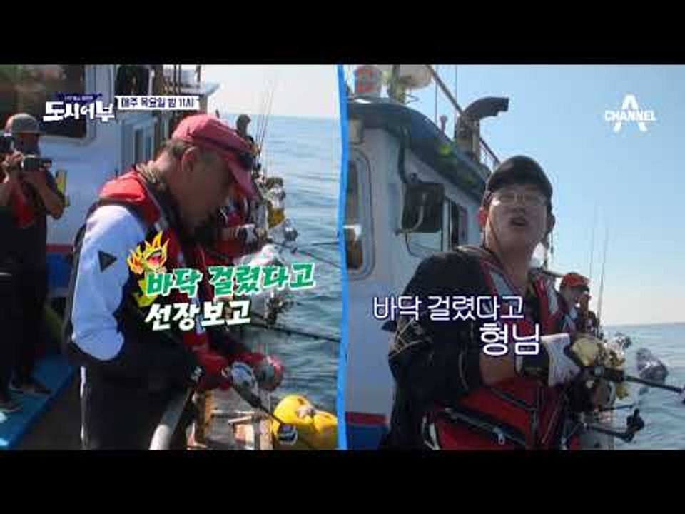 [도시어부 선공개] 도시어부 진흙탕 싸움 이경규 vs 마닷 "안돼! 안돼! 이건 무효"