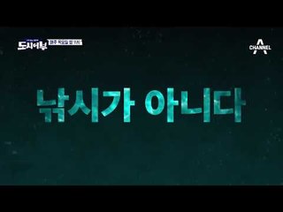 [도시어부 이번주이야기] 낚시가 아니다 이건 사냥이다 [THE WANDO]