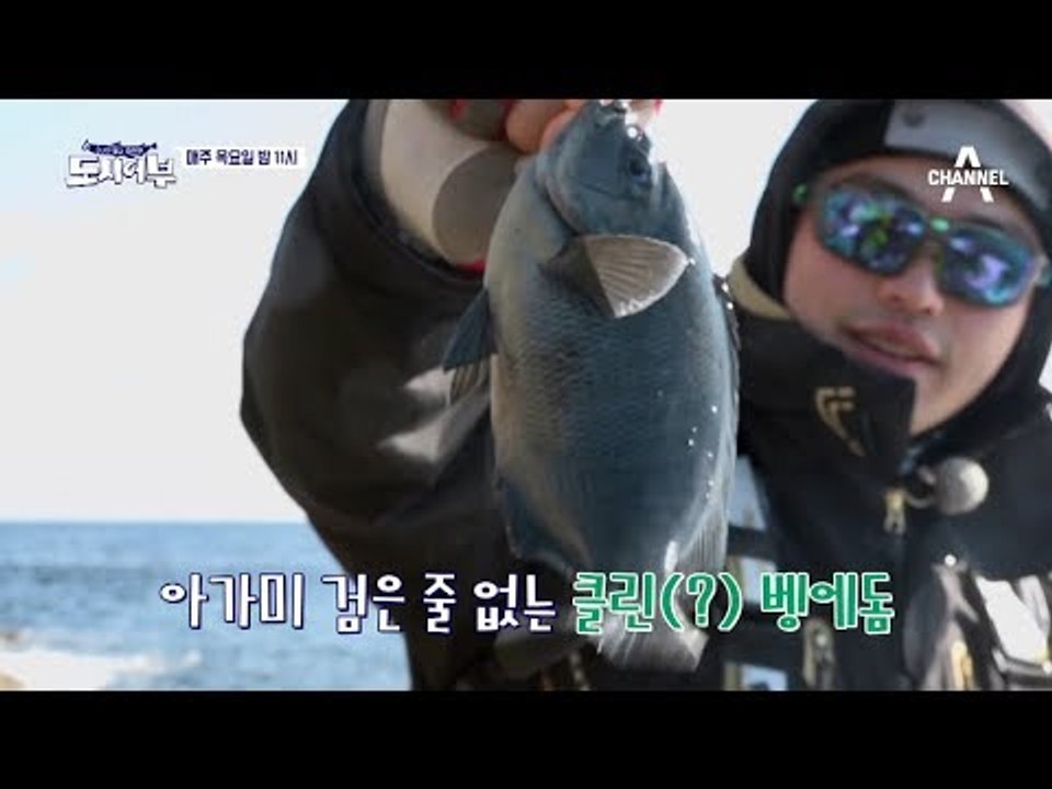 [도시어부 선공개] 마닷, 긴꼬리벵에돔 신대륙 발견! 벵에돔 두 마리로 선두