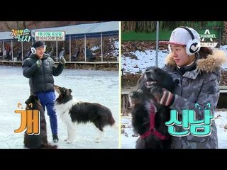 [개밥남 예고] 3대 지랄견(?)의 위엄! 천방지축 비글남매