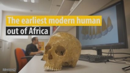 La salida del Homo Sapiens de África se adelanta 60.000 años