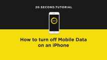 Switch off Mobile Data on an iPhone | Apple iPhone Tutorial #8