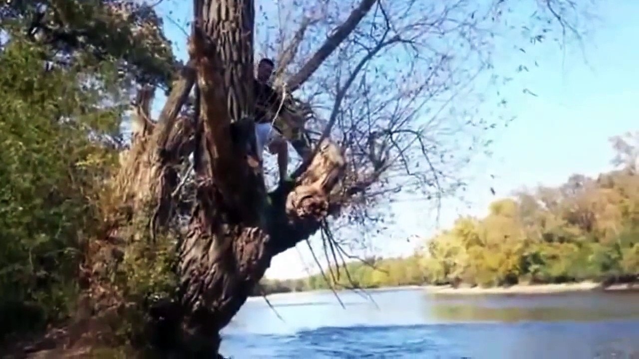 2015 sin censura videos graciosos 2015 animales chicas golpes bromas sustos